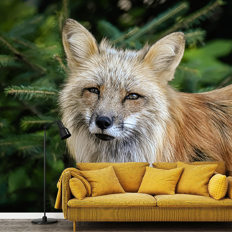 Photography Mural Wall Decor Red Fox Mildew Resistant Living Room Wall Mural Wall Art