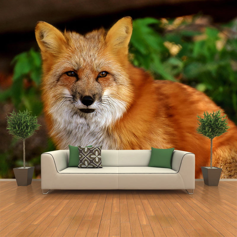 Photography Mural Wall Decor Red Fox Mildew Resistant Living Room Wall Mural Wall Art