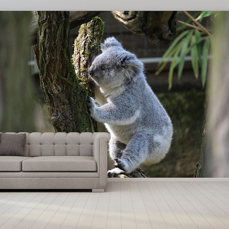 Modern Cute Koala Mural Wall Decor Mildew Resistant Living Room Wall Mural for Wall Decor