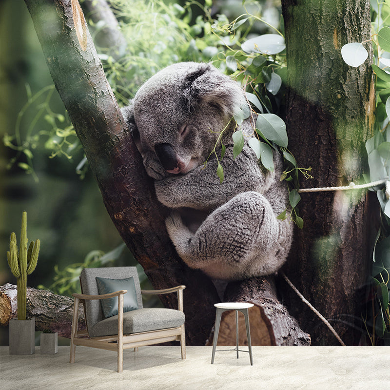 Modern Cute Koala Mural Wall Decor Mildew Resistant Living Room Wall Mural for Wall Decor