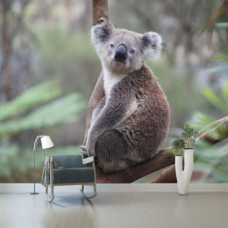 Modern Cute Koala Mural Wall Decor Mildew Resistant Living Room Wall Mural for Wall Decor