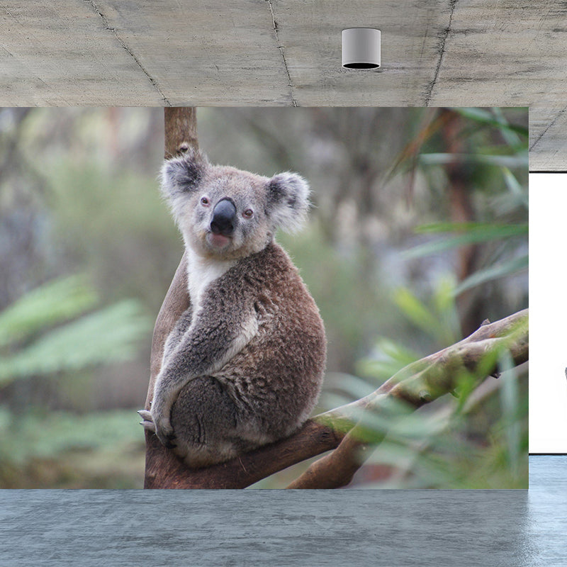 Modern Cute Koala Mural Wall Decor Mildew Resistant Living Room Wall Mural for Wall Decor