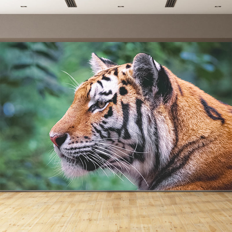 Modern Tiger Close-Up Mural Wall Decor Mildew Resistant Living Room Wall Mural for Wall Decor