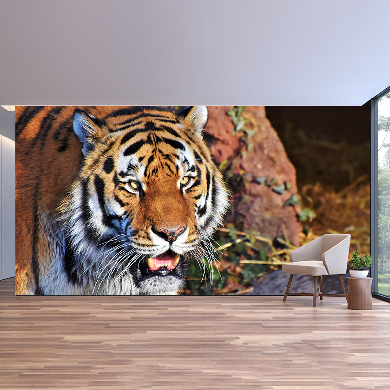 Modern Tiger Close-Up Mural Wall Decor Mildew Resistant Living Room Wall Mural for Wall Decor