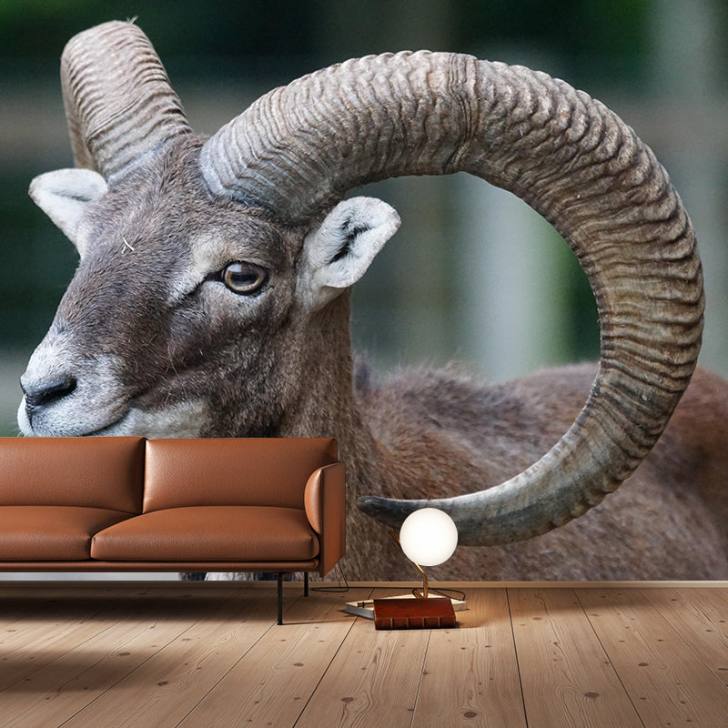Modern Ovis Musimon Mural Wall Decor Mildew Resistant Living Room Wall Mural for Wall Decor