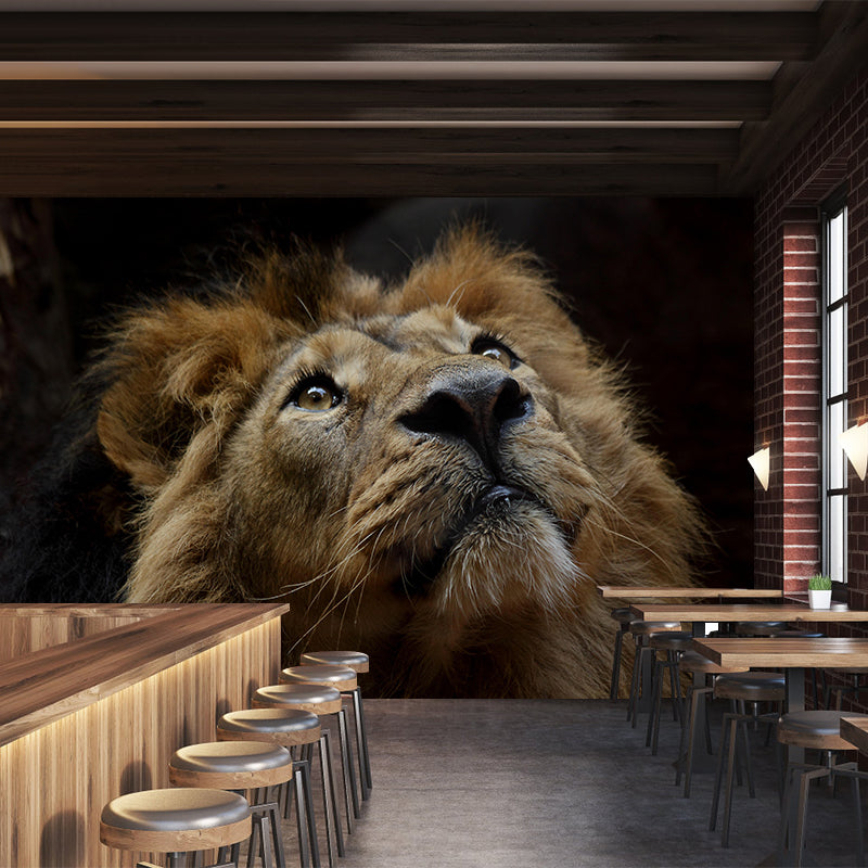 Modern Lion Face Portrait Mural Wall Decor Mildew Resistant Living Room Wall Mural for Wall Decor