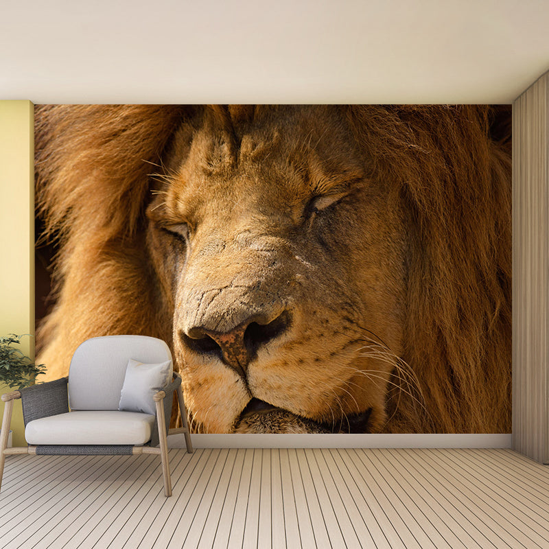 Modern Lion Face Portrait Mural Wall Decor Mildew Resistant Living Room Wall Mural for Wall Decor