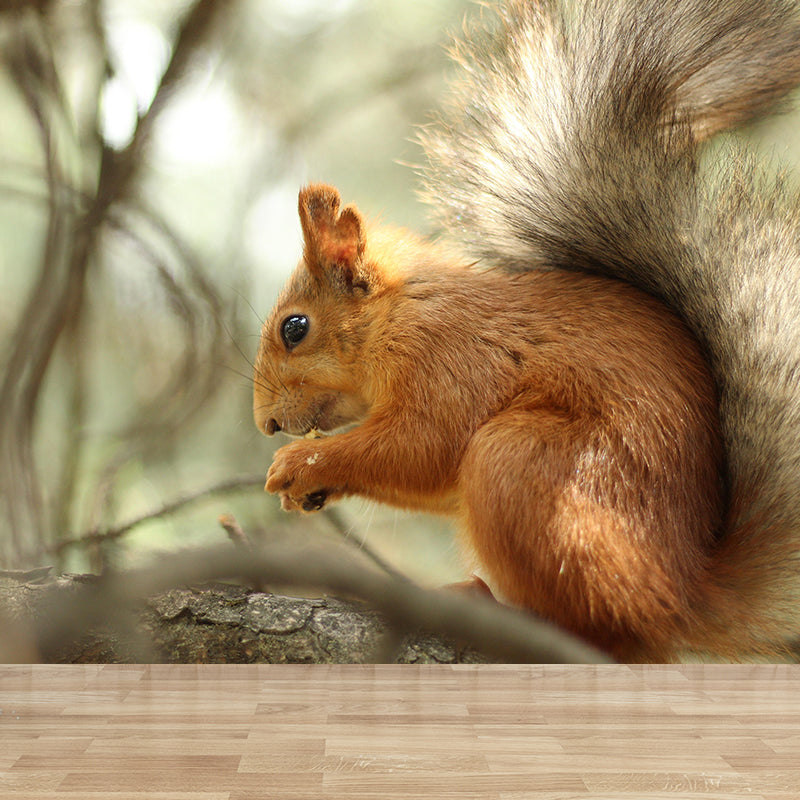 Photography Squirrel Mural Wall Decor Mildew Resistant Living Room Wall Mural Wall Art