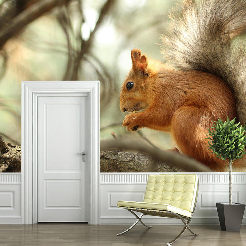 Photography Squirrel Mural Wall Decor Mildew Resistant Living Room Wall Mural Wall Art