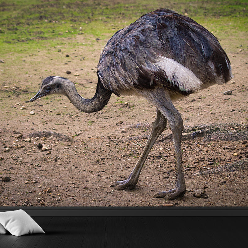 Modern Ostrich Mural Wall Decor Mildew Resistant Living Room Wall Mural for Wall Decor