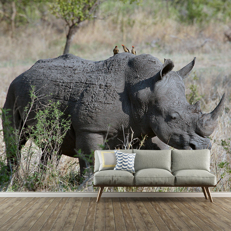 Photography Rhino Mural Wall Decor Mildew Resistant Living Room Wall Mural Wall Art
