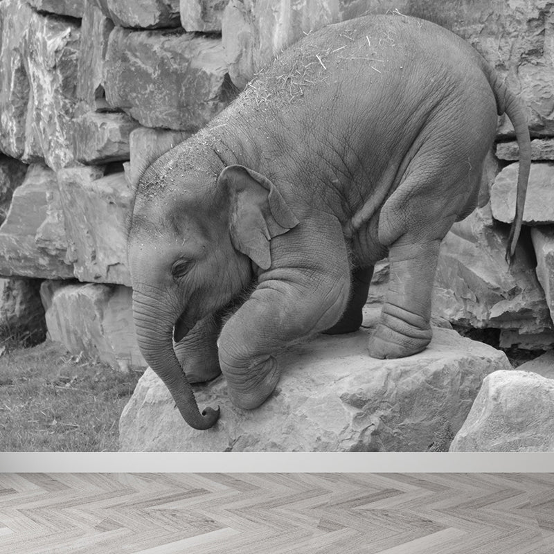 Photography Baby Elephant Mural Wall Decor Mildew Resistant Living Room Wall Mural Wall Art
