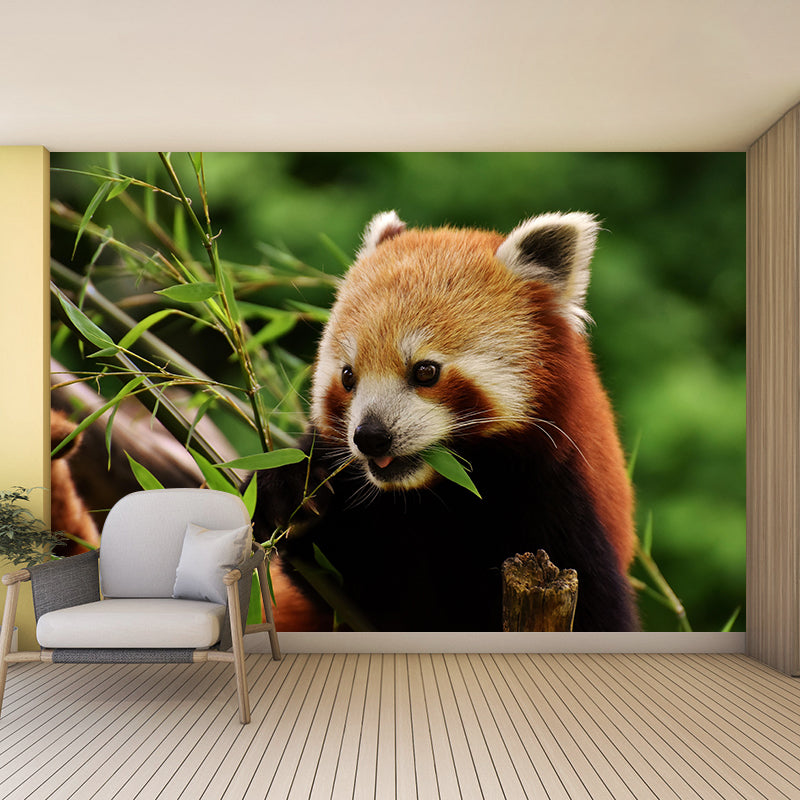 Modern Style Red-Panda Mural Wall Decor Mildew Resistant Living Room Wall Mural Wall Art