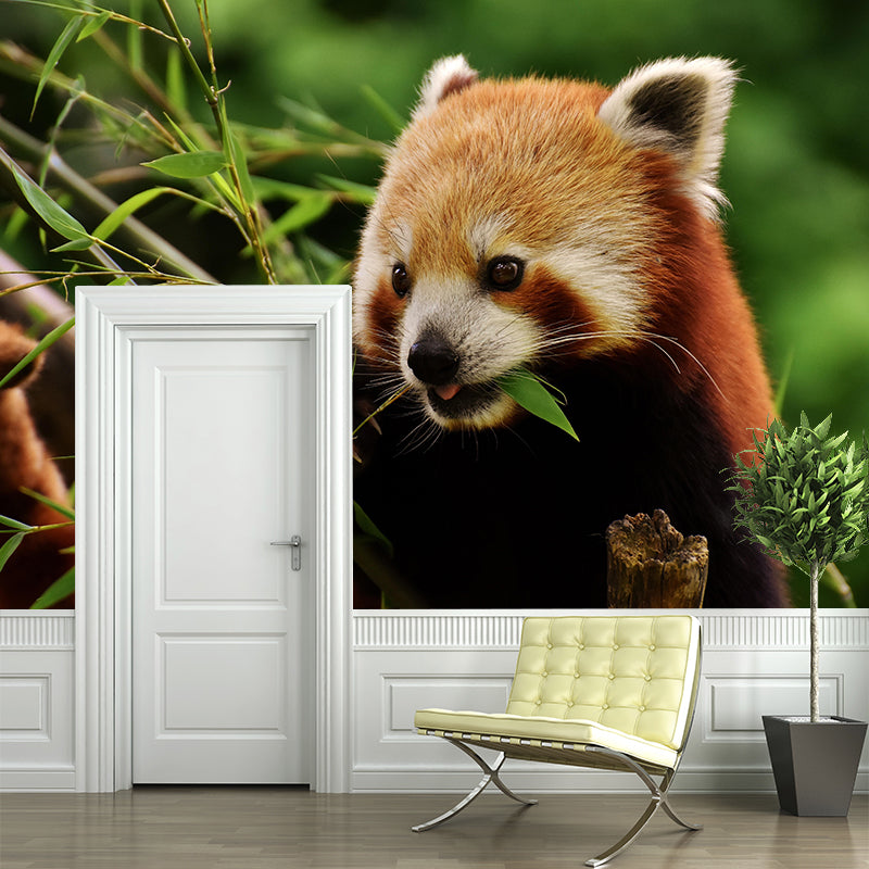 Modern Style Red-Panda Mural Wall Decor Mildew Resistant Living Room Wall Mural Wall Art