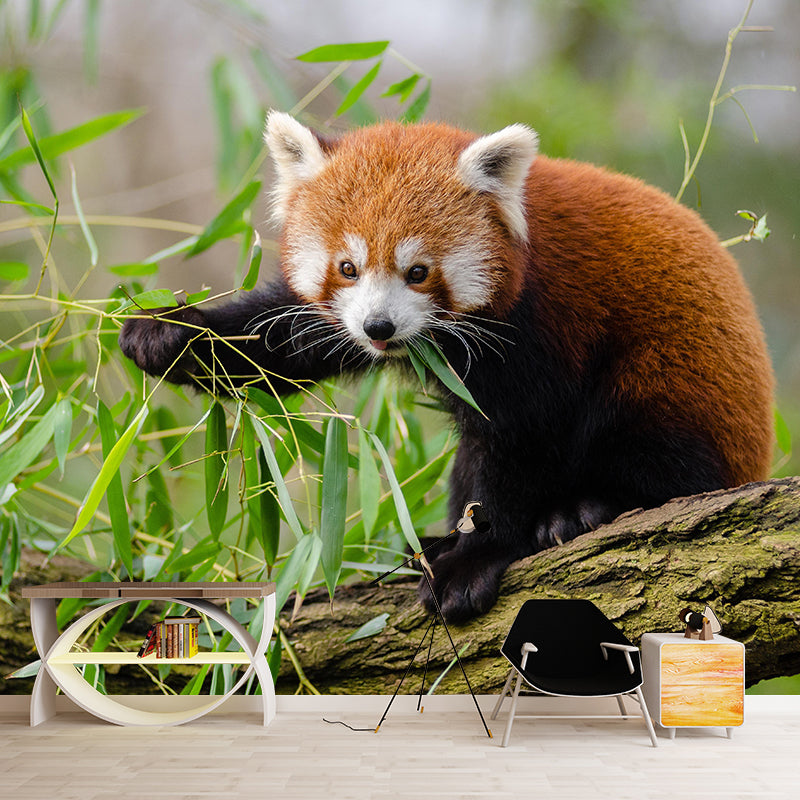 Modern Style Red-Panda Mural Wall Decor Mildew Resistant Living Room Wall Mural Wall Art