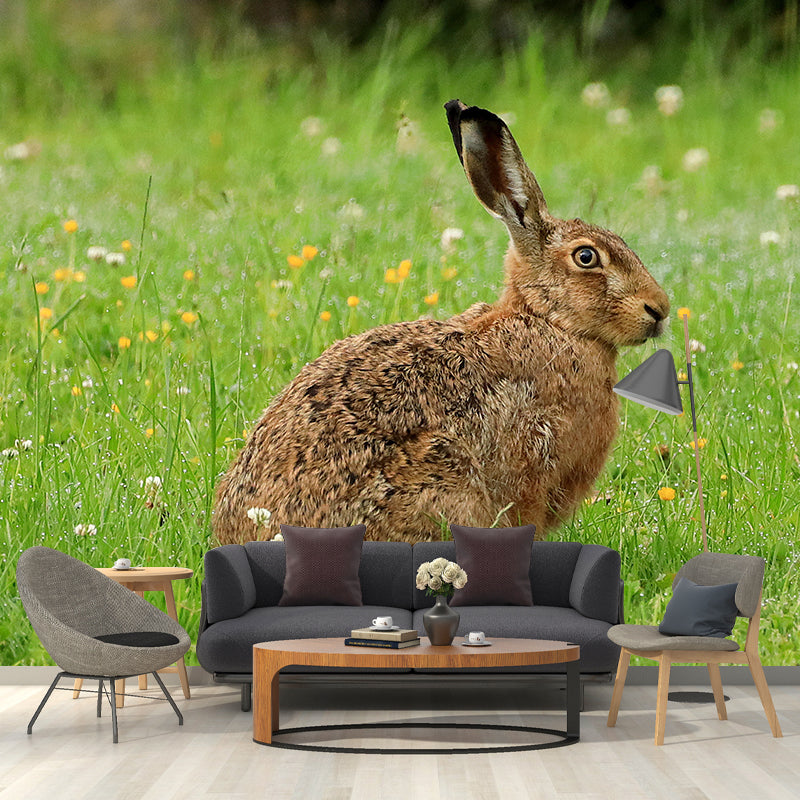 Photography Hare Mural Wall Decor Mildew Resistant Living Room Wall Mural Wall Art