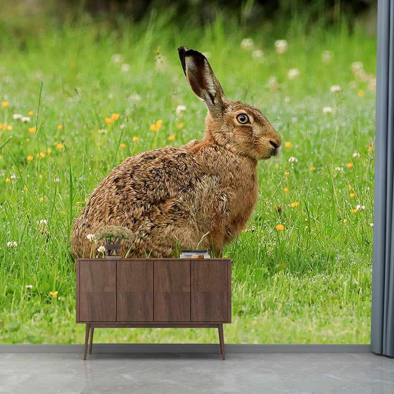 Photography Hare Mural Wall Decor Mildew Resistant Living Room Wall Mural Wall Art
