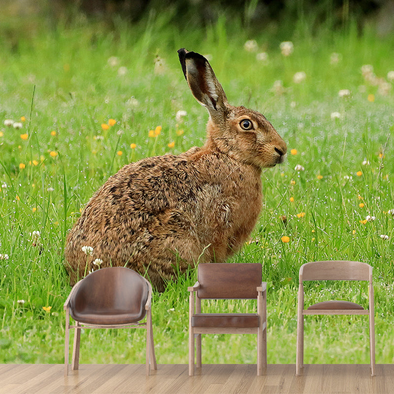 Photography Hare Mural Wall Decor Mildew Resistant Living Room Wall Mural Wall Art