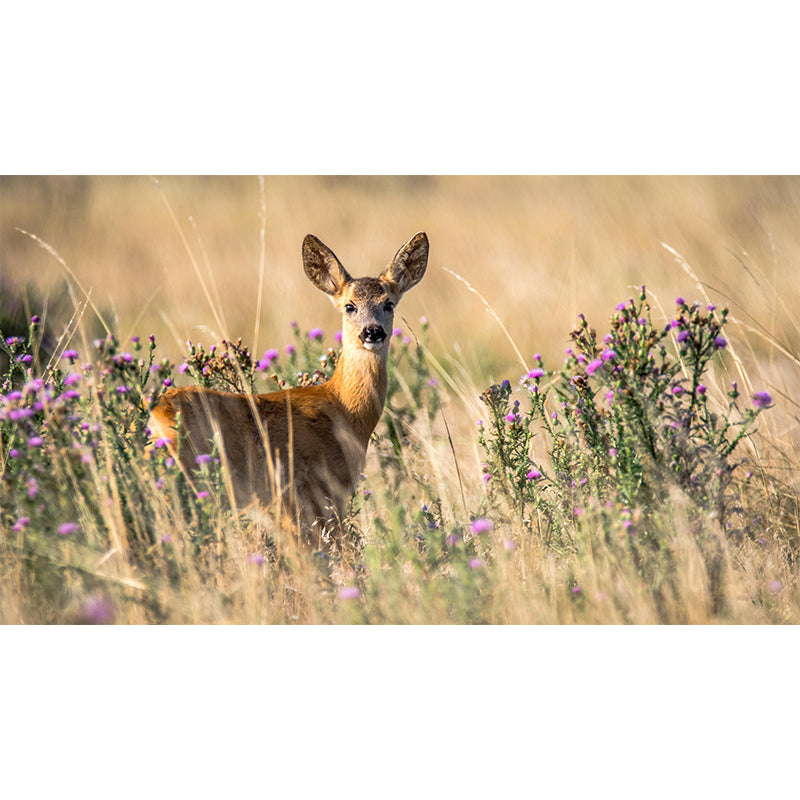 Modern Roe-Deer Mural Wall Decor Mildew Resistant Living Room Wall Mural Wall Art