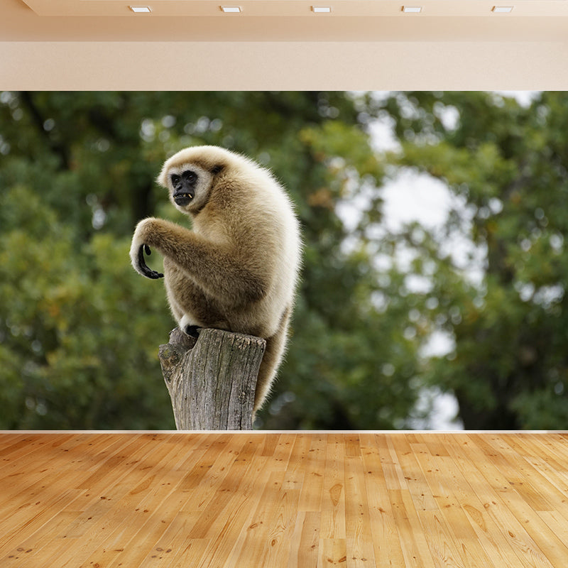 Modern Style Gibbon Mural Wall Decor Mildew Resistant Living Room Wall Mural Wall Art