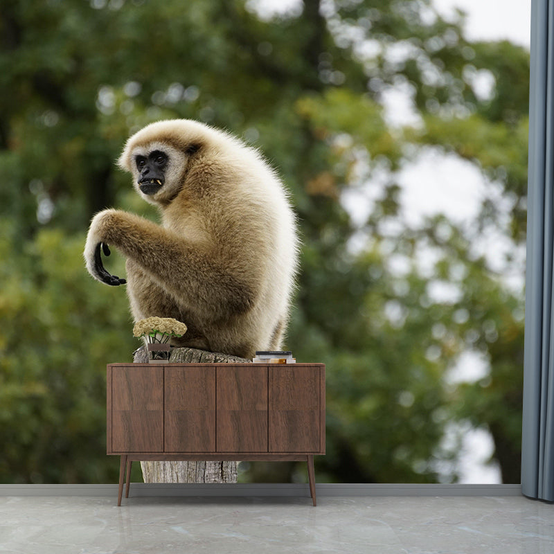 Modern Style Gibbon Mural Wall Decor Mildew Resistant Living Room Wall Mural Wall Art