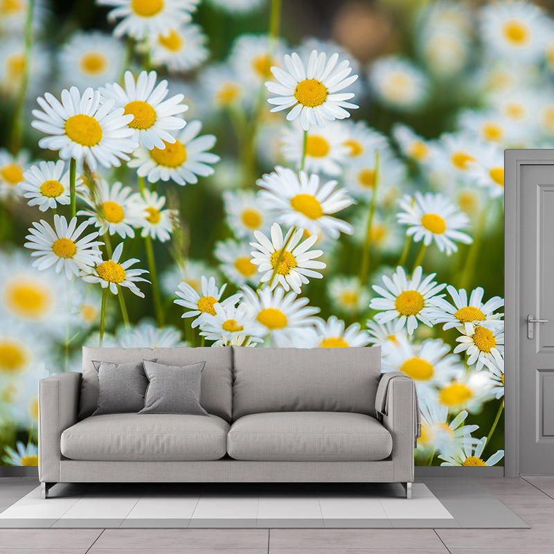 Peintures murales décoratives de photographie de marguerites de couleur claire pour les chambres à coucher