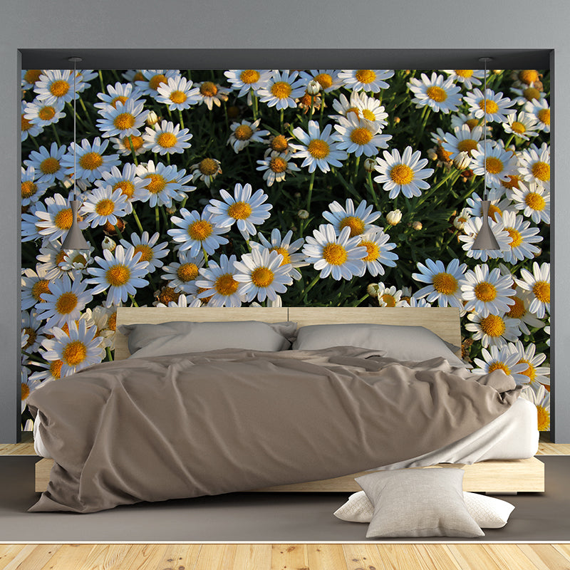 Peintures murales décoratives de photographie de marguerites de couleur claire pour les chambres à coucher