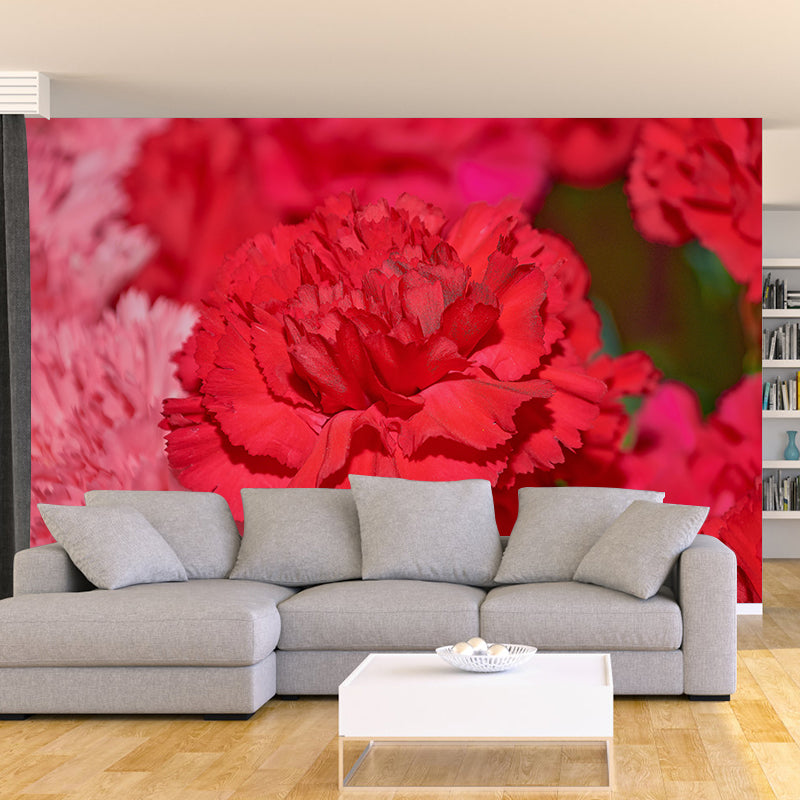 Peintures murales décoratives de photographie d'oeillets de couleur claire pour les chambres à coucher