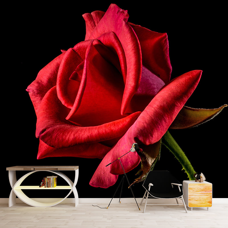 Soft Color Rose Flower Wall Mural Stain Resistant Wall Art for Living Room