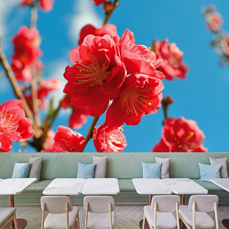 Peach Flower Blooming Wall Mural Photography Modern Living Room Wall Covering