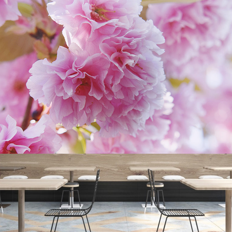 Peach Flower Blooming Wall Mural Photography Modern Living Room Wall Covering