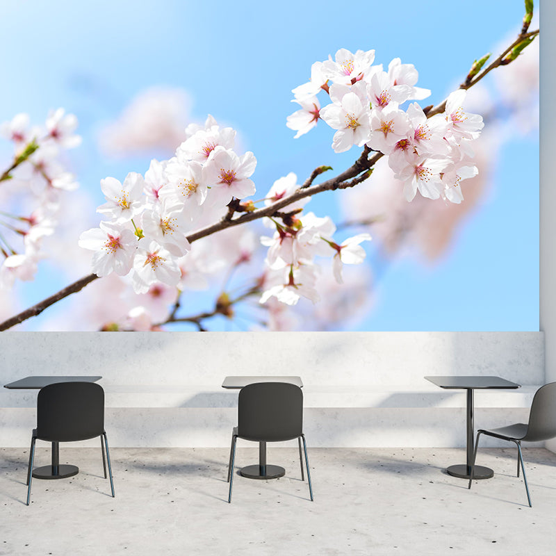 Cherry Blooming Wall Mural Photography Horizontal Modern Living Room Wall Covering