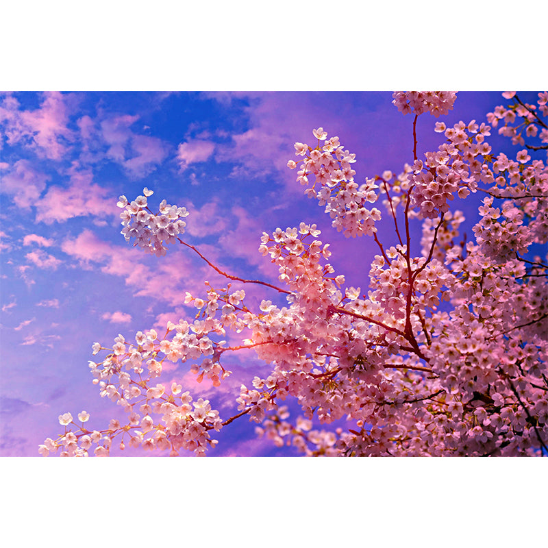 Cherry Blooming Wall Mural Photography Horizontal Modern Living Room Wall Covering