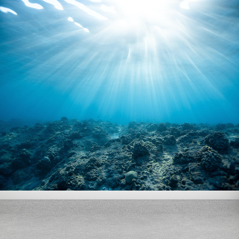 Tropix Sea Underwater Look-Up Murals Stain Resistant Wall Covering for Living Room