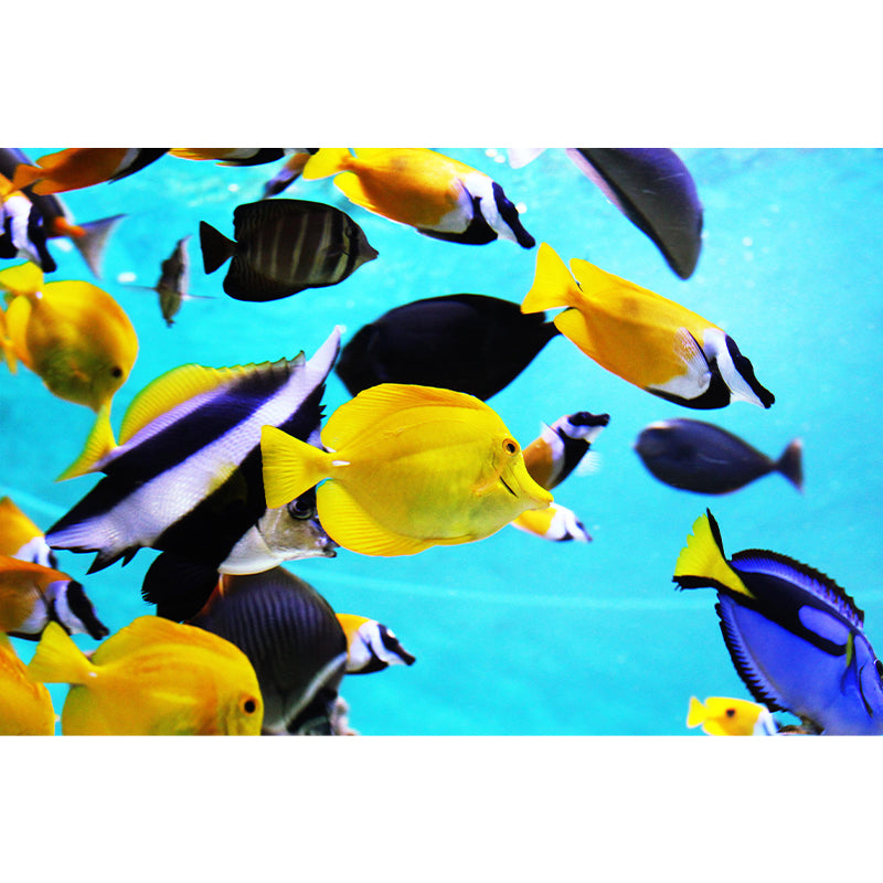 Tropical Seabed Mural Photography Style Full Size Wall Decoration for Living Room