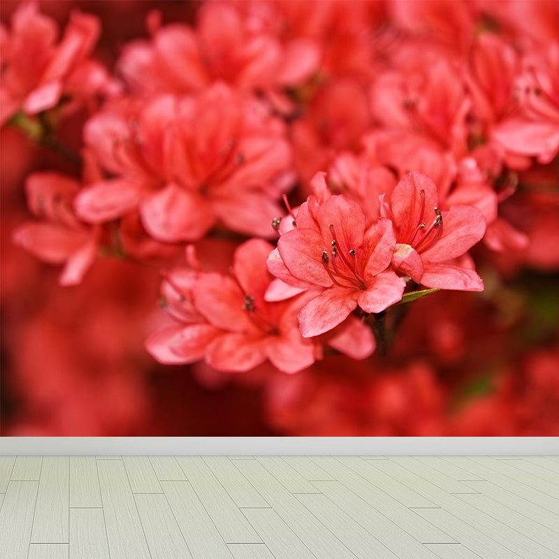 Contemporary Rhododendron Wall Mural Moisture Decorative Eco-friendly for Home Decor