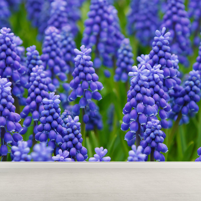Hyacinths Flower Wall Mural Photography Horizontal Modern Living Room Wall Covering