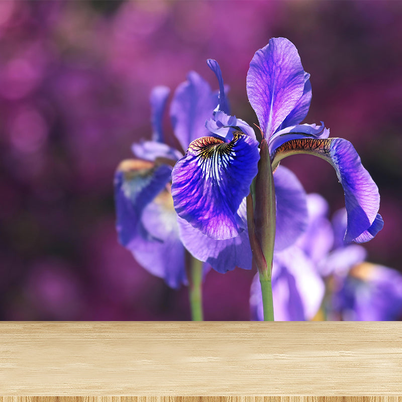 Contemporary Flower Blooming Wall Mural Moisture Decorative Eco-friendly for Home Decor