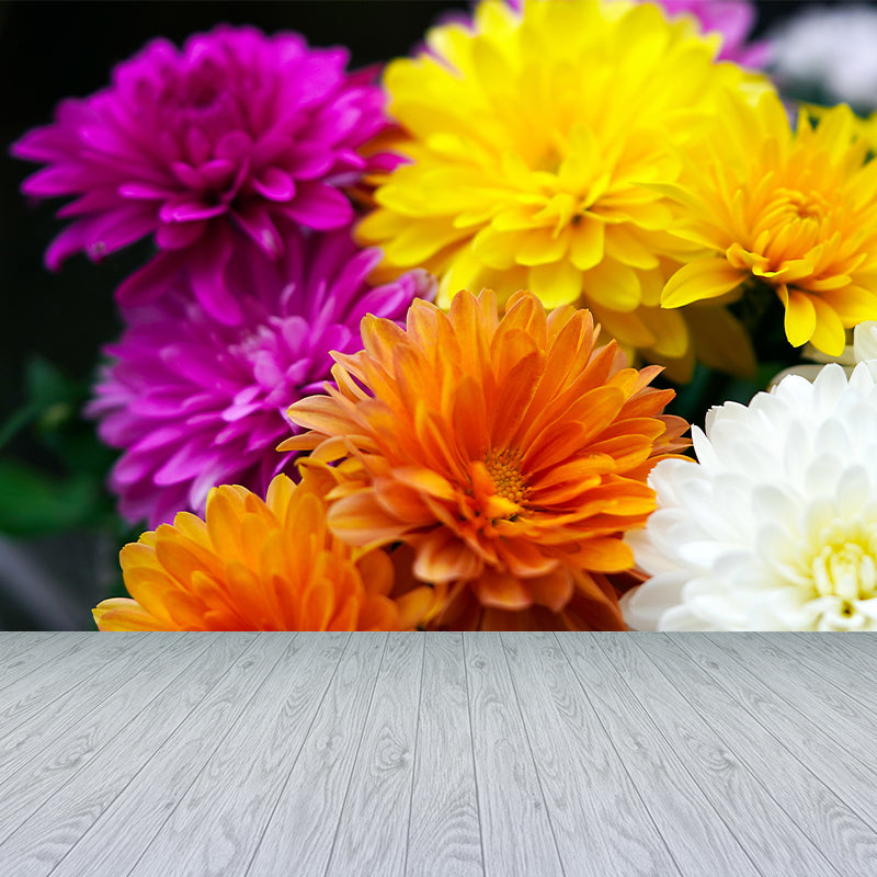 Chrysanthemum Wall Mural Photography Horizontal Modern Living Room Wall Covering