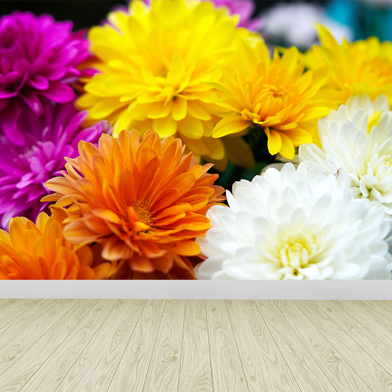 Chrysanthemum Wall Mural Photography Horizontal Modern Living Room Wall Covering