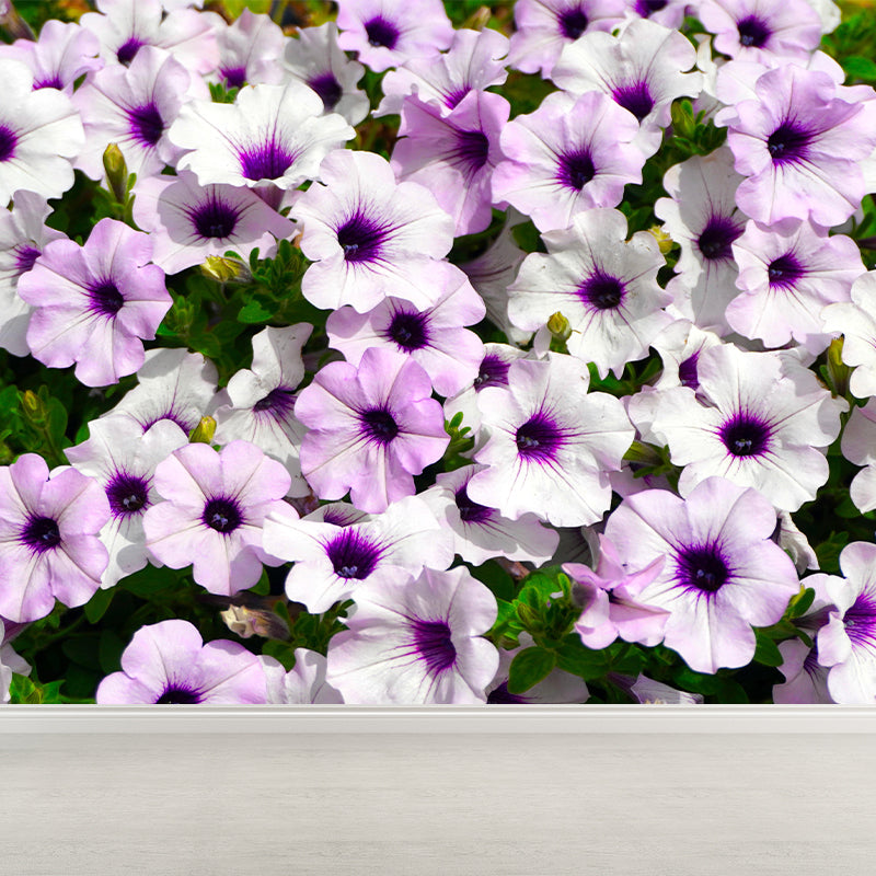 Contemporary Morning Glory Wall Mural Moisture Decorative Eco-friendly for Home Decor