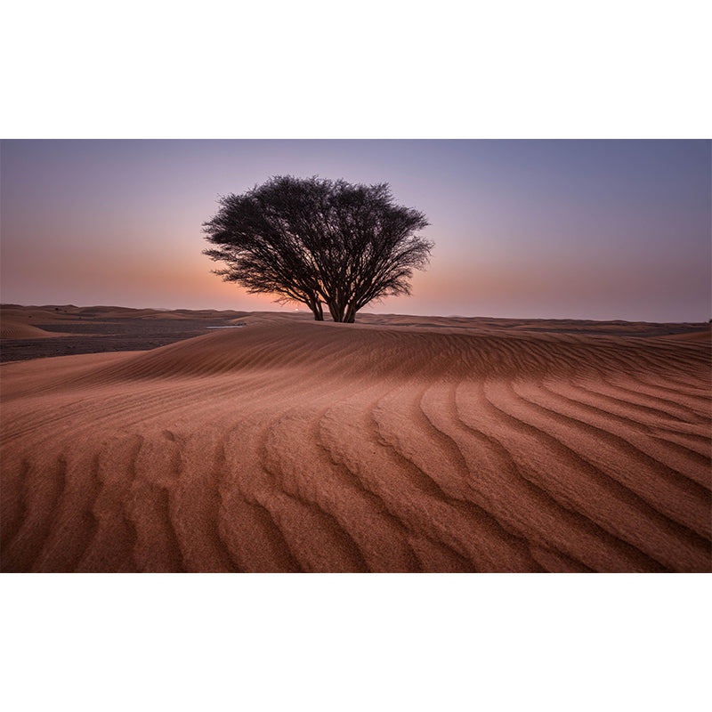 Photography Mural with Desert Pattern Moisture Resistant Modern Style Bathroom Wall Art