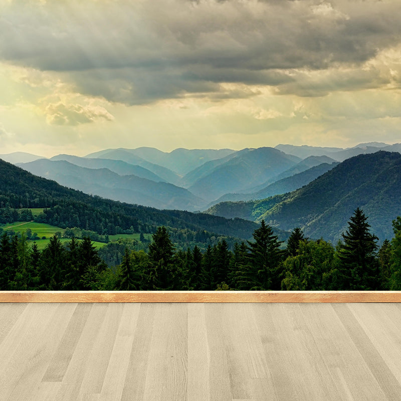 Mountain Range Landscapes Mural Wallpaper in different seasons Indoor Wall Art for Home Decor