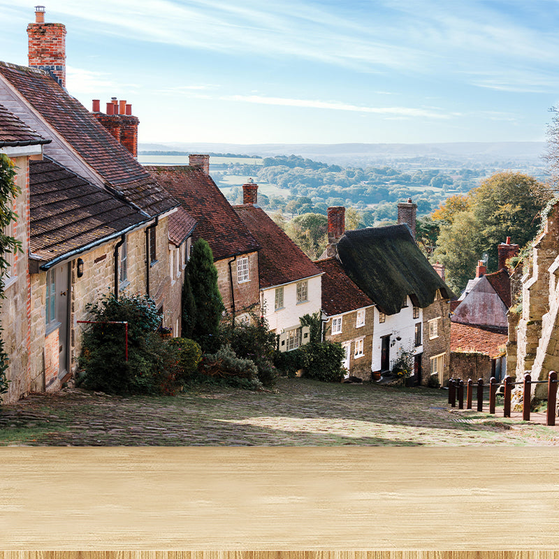 Contemporary Town View Wallpaper Mural Decorative Mildew Resistant Wall Decor for Decoration