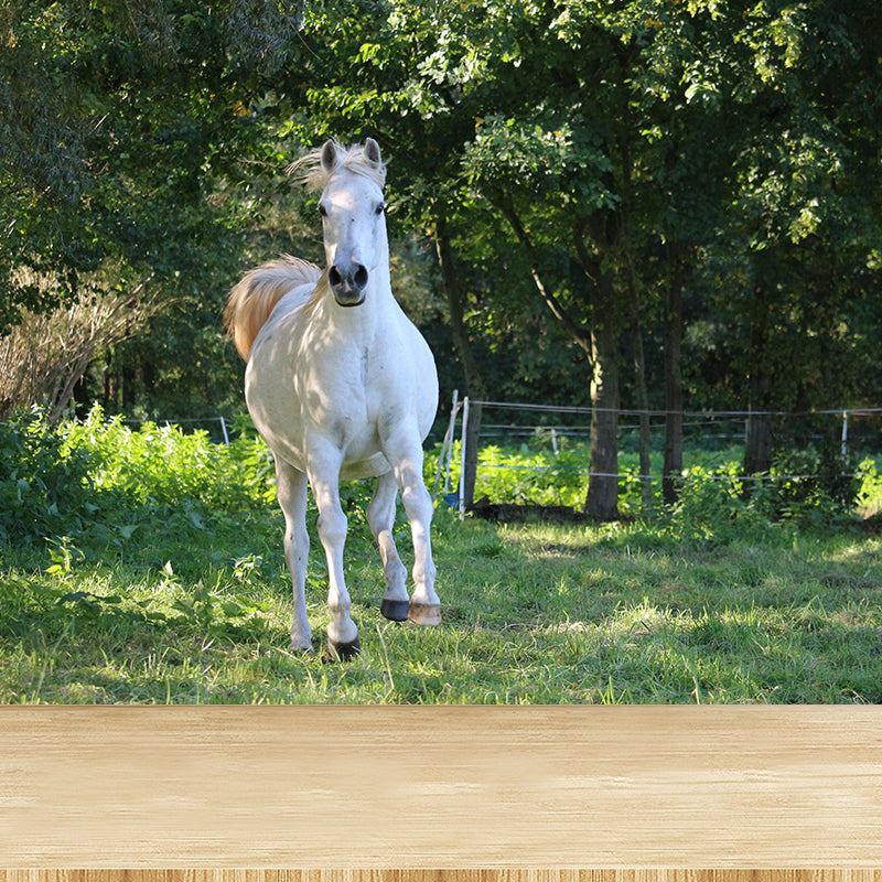 Customized White Horse Mural Decal for Kitchen Animals Wall Art in Soft Color