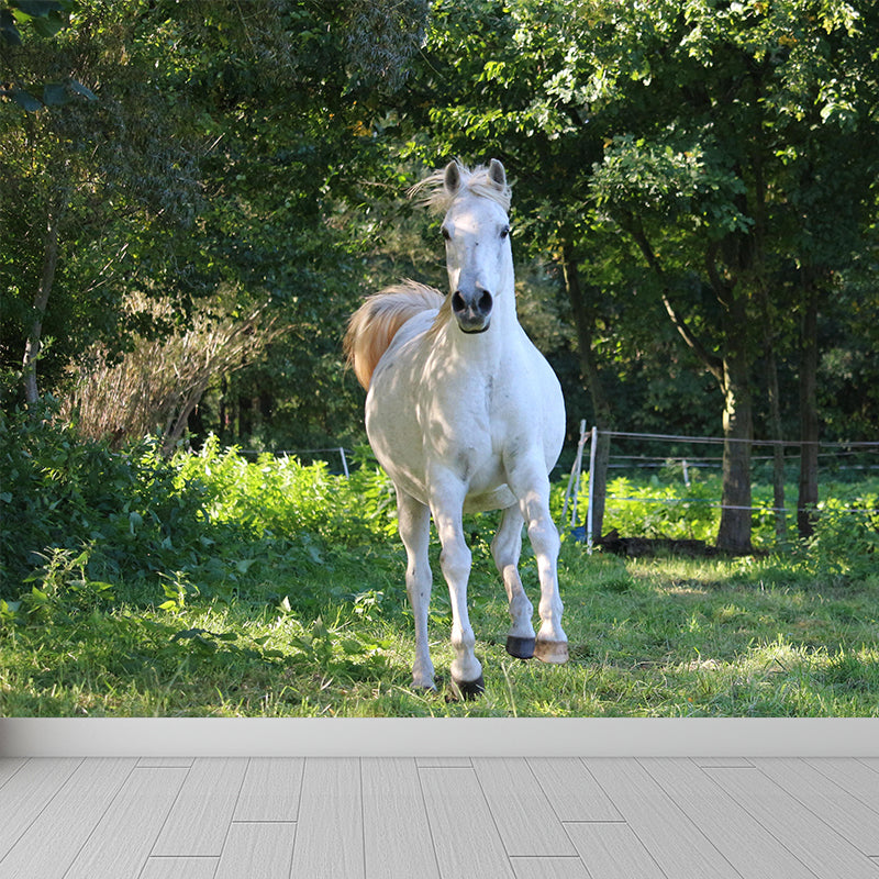 Customized White Horse Mural Decal for Kitchen Animals Wall Art in Soft Color