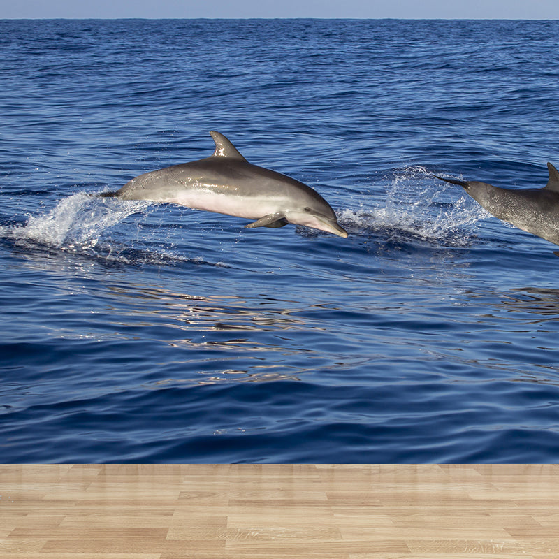 Photography Lovely Dolphins Mural Wallpaper Contemporary Wall Covering for Home Decoration