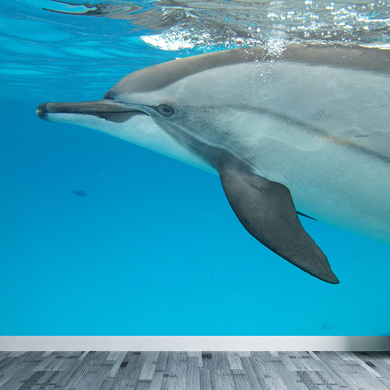 Photography Lovely Dolphins Mural Wallpaper Contemporary Wall Covering for Home Decoration