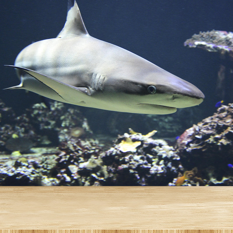 Photography Ferocious shark Mural Wallpaper Contemporary Wall Covering for Home Decoration