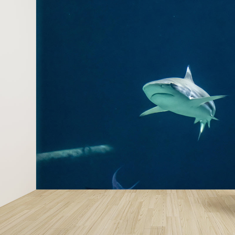 Photography Ferocious shark Mural Wallpaper Contemporary Wall Covering for Home Decoration